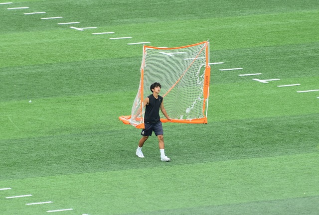 亮点解读