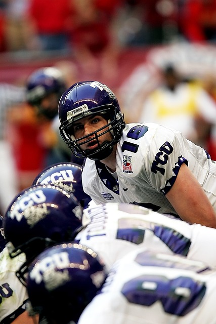 主要得益于 主要得益于