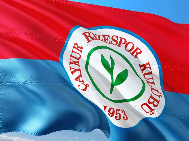 在朱辰杰 在朱辰杰