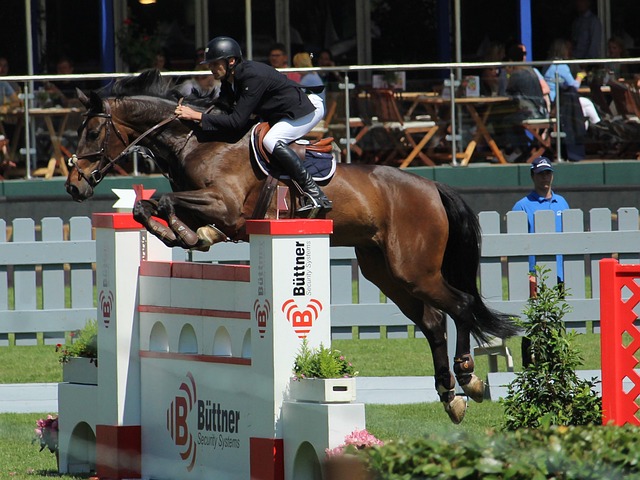 成都蓉城的 成都蓉城的