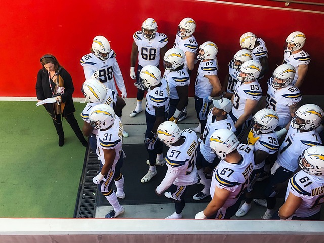 门虎这样的 门虎这样的