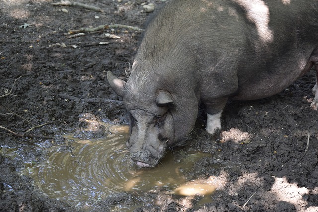 验对球队至 验对球队至
