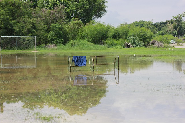 樂部的球迷 樂部的球迷