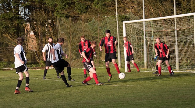 电子屏幕等 电子屏幕等