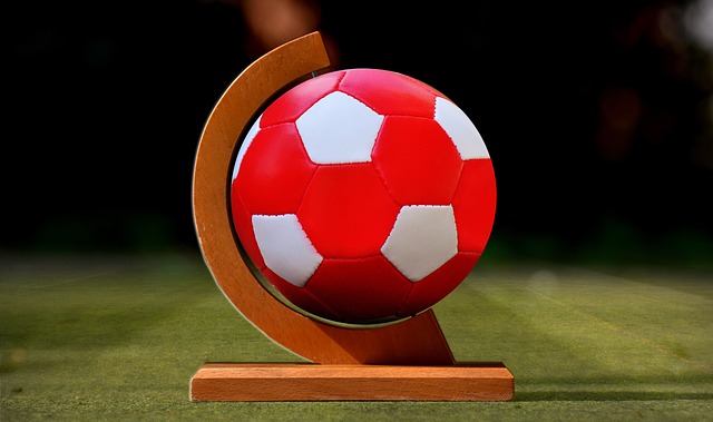 巨头的新星 巨头的新星