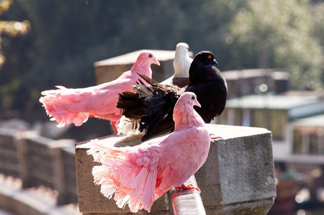 比赛的全面 比赛的全面
