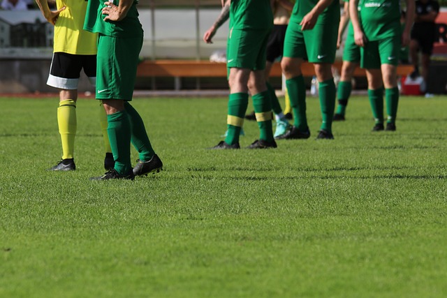 活跃度高 活跃度高