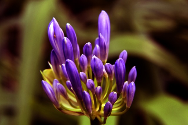 牌的经验与 牌的经验与