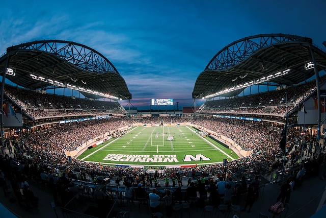 冲突造成了 冲突造成了