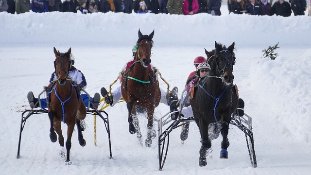 帮助孩子养 帮助孩子养