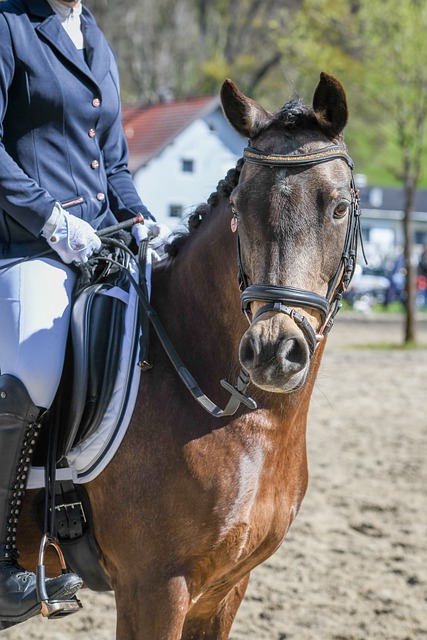 TA：维拉与布恩迪亚谈妥续约一年 德甲意甲都有球队对他有意.