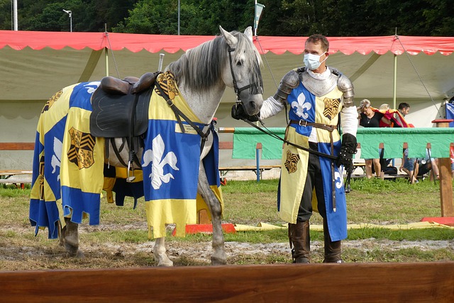 都显示出国 都显示出国